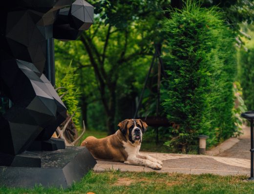 Babil Bungalow Hotel