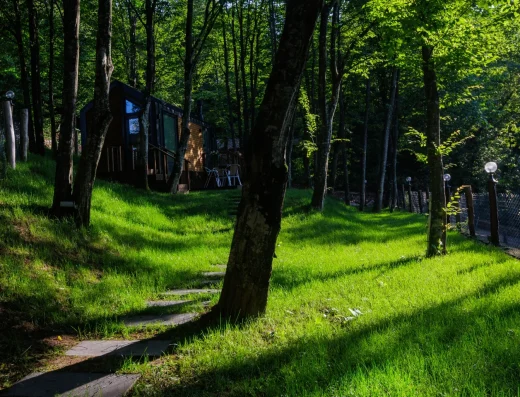 Manzara Park Konaklama