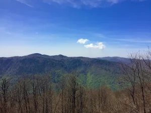 Kuzuyayla Tabiat Parkı