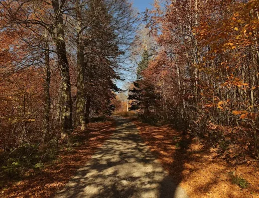 Kuzuyayla Tabiat Parkı