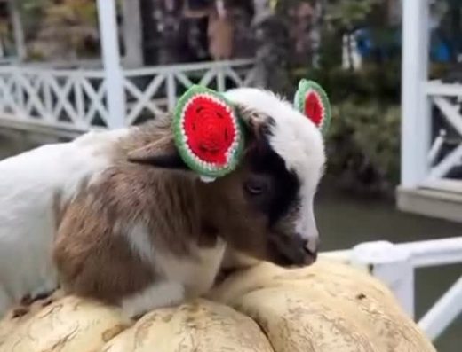 Sopeli Doğal Yaşam Köyü